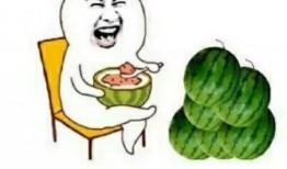 可以吃娱乐圈瓜吗,揭秘明星幕后故事